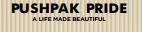 Pushpak Pride Pushpak Nagar